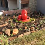 Cactus Garden