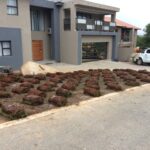 Laying new Grass