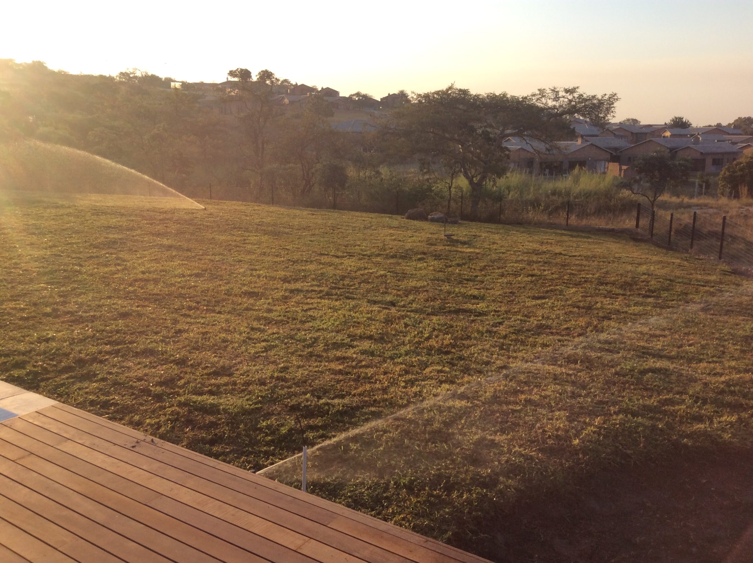 Deck and Grass